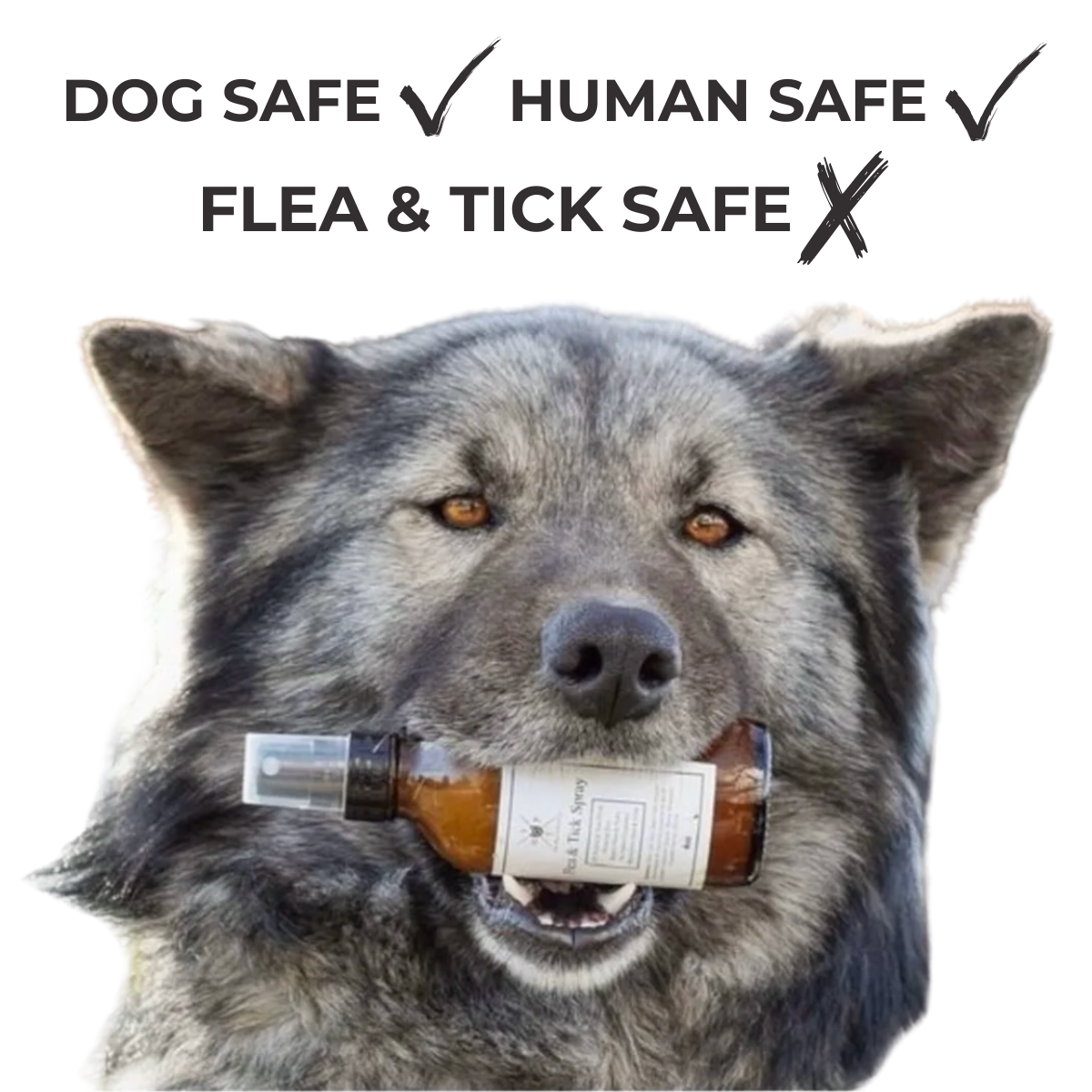 Flea & Tick Spray for Dogs
