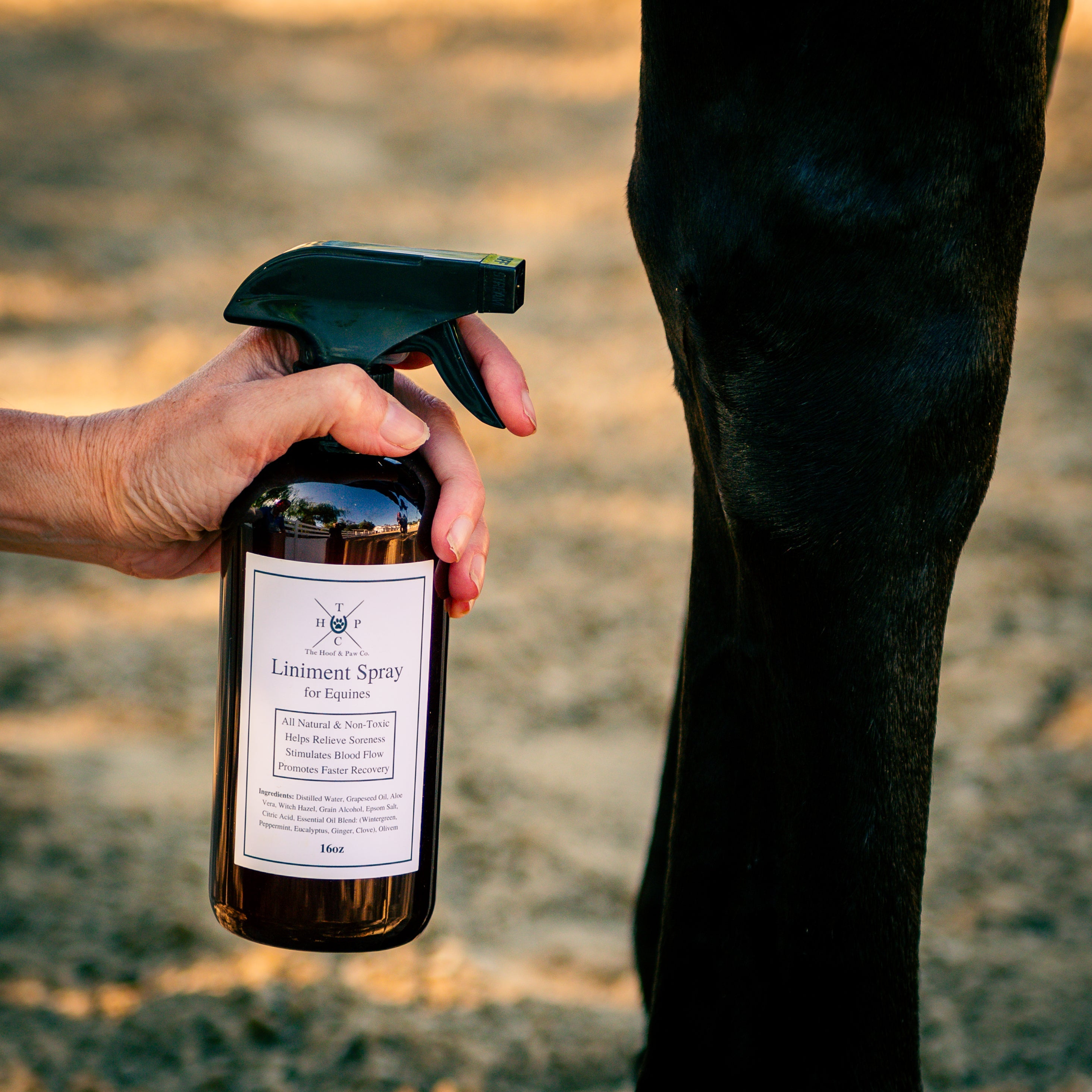Liniment Spray for Horses