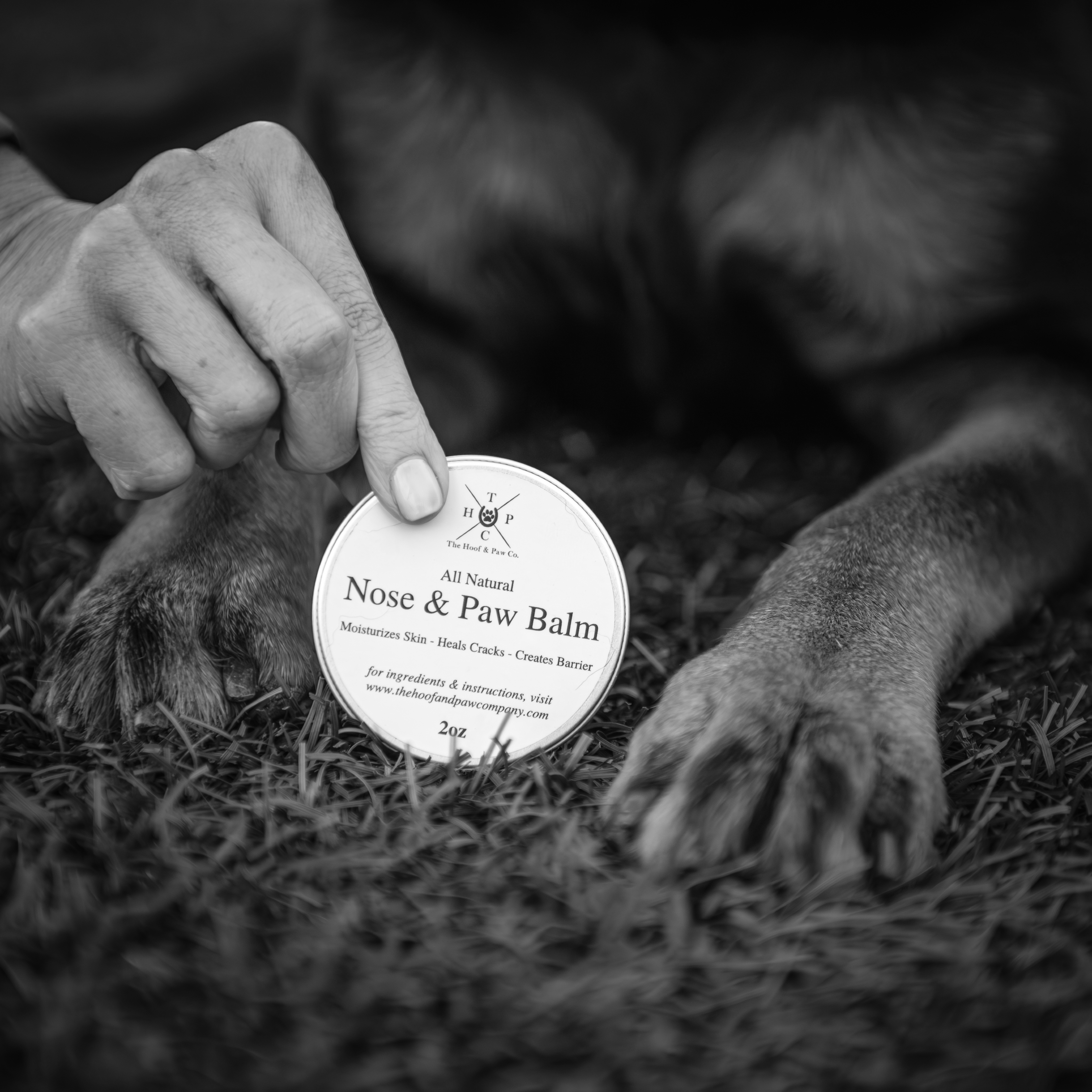 Nose & Paw Balm for Dogs - 2oz