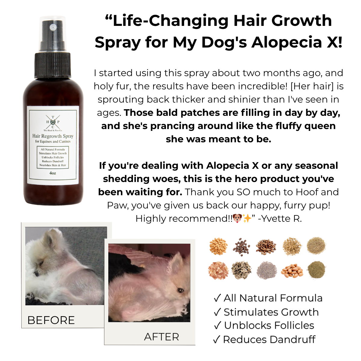 Hair Regrowth Spray for Dogs & Horses