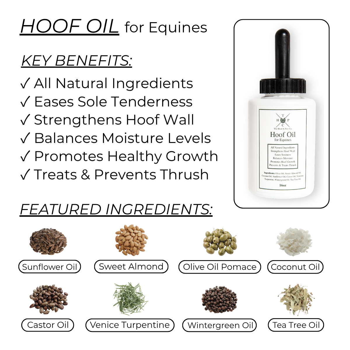 Hoof Oil for Horses