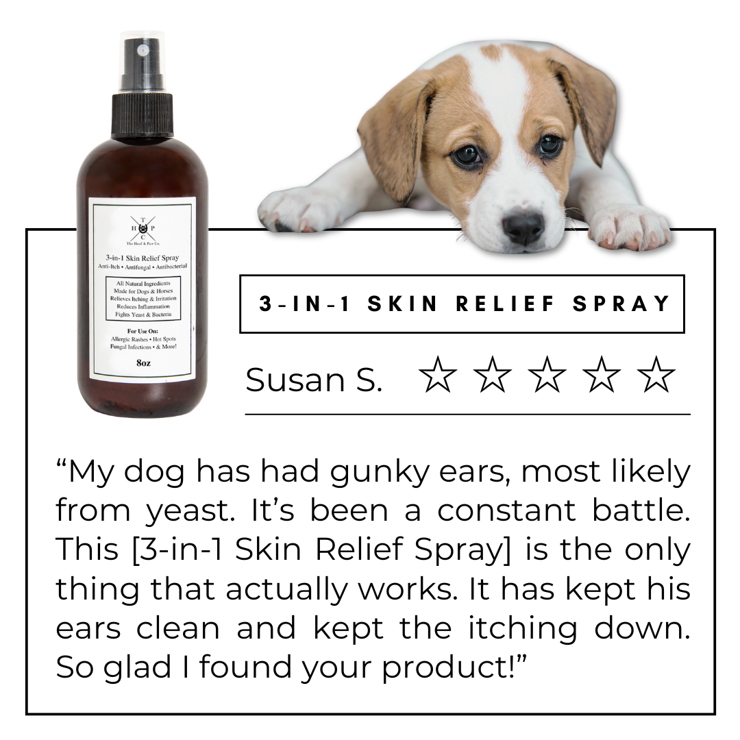 3-in-1 Skin Relief Spray for Dogs & Horses