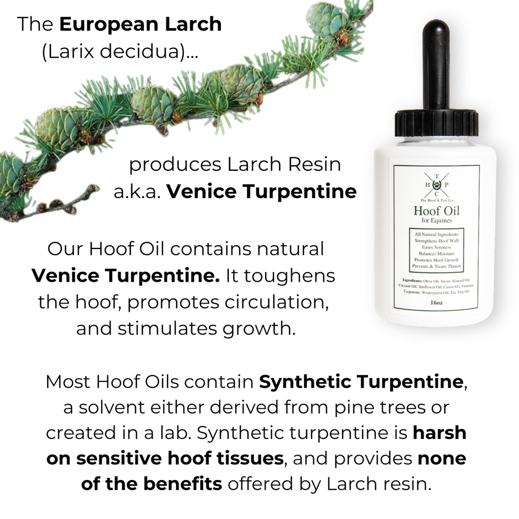 Hoof Oil for Horses