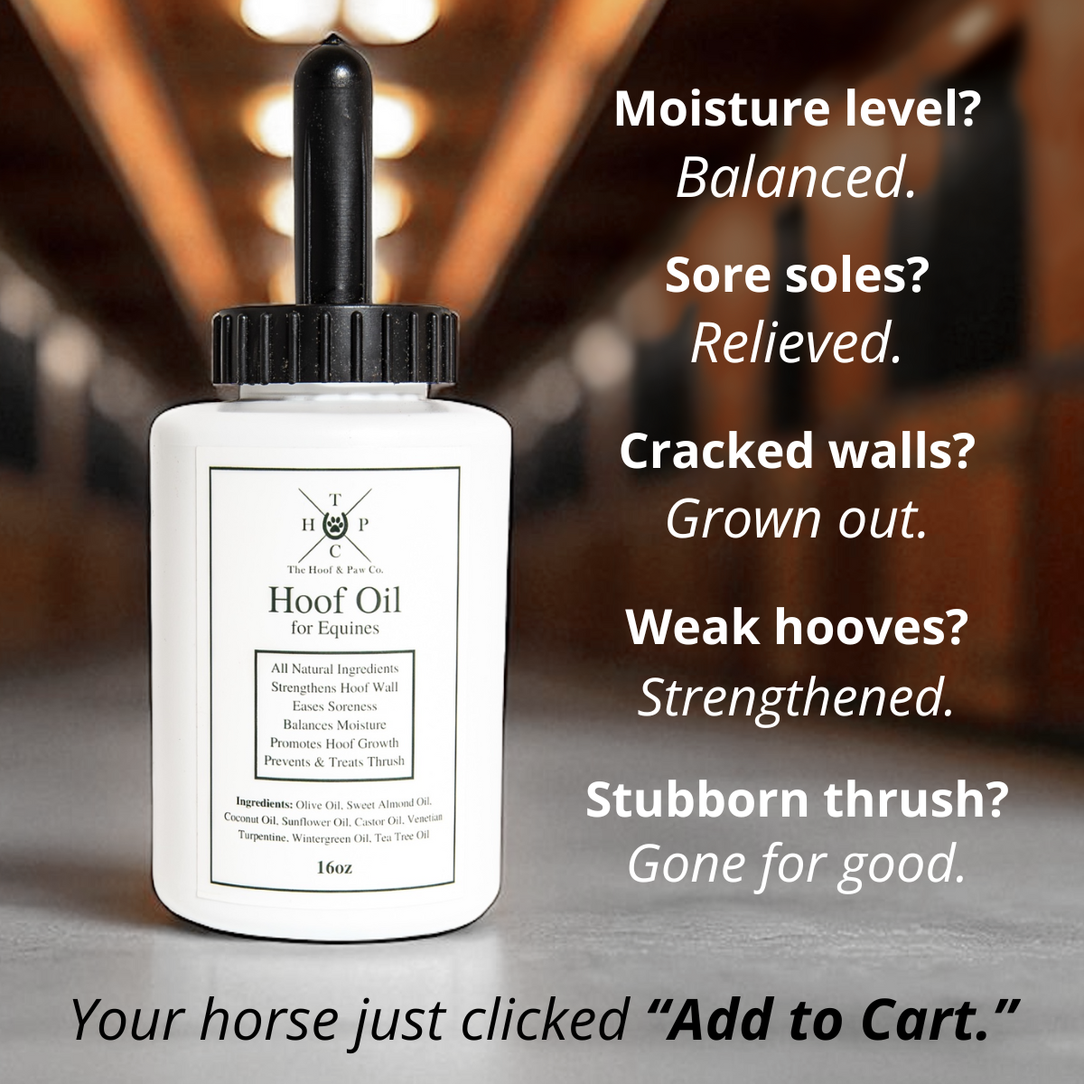 Hoof Oil for Horses